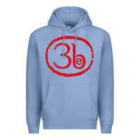Third Eye Blind Classic Premium Hoodie | Teevron