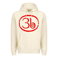 Sandshell Third Eye Blind Classic Premium Hoodie - linhVisuals