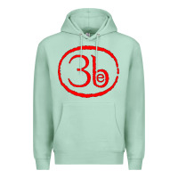 Seafoam Third Eye Blind Classic Premium Hoodie - linhVisuals