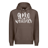 Coffee gumbo weather season in louisiana acadiana cajun lifestyle sweatshirt Premium Hoodie - linhVisuals