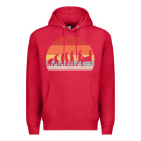 Cardinal vintage retro evolution of the pinball lover premium t shirt Premium Hoodie - linhVisuals