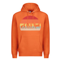 Carrot vintage retro evolution of the pinball lover premium t shirt Premium Hoodie - linhVisuals
