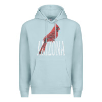 Blue Mist black vintage cardinal red bird arizona az gifts premium t shirt Premium Hoodie - linhVisuals