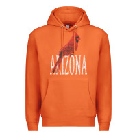 Carrot black vintage cardinal red bird arizona az gifts premium t shirt Premium Hoodie - linhVisuals