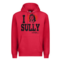 Cardinal dr.quinn, medicine woman i heart sully premium t shirt Premium Hoodie - linhVisuals
