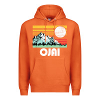 Carrot ojai california mountains & sun retro 80s graphic Premium Hoodie - linhVisuals