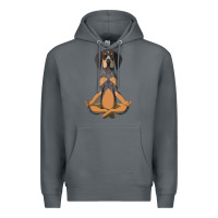 Rock yoga fitness bluetick coonhound dog 363 bodybuilding Premium Hoodie - linhVisuals