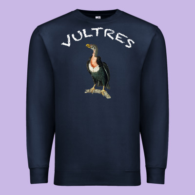 Vultures Premium Sweatshirt Designed By Bettercallsaul
