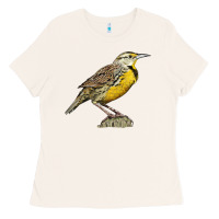 Bone Western Meadowlark Ladies Tee - LillyAllenDesigns
