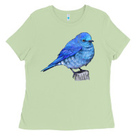 Matcha Mountain Bluebird Ladies Tee - LillyAllenDesigns