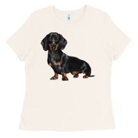 Bone Dachshund Dog Illustrations Ladies Tee - LillyAllenDesigns