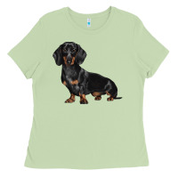 Matcha Dachshund Dog Illustrations Ladies Tee - LillyAllenDesigns