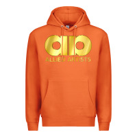 Carrot allied artists pictures Premium Hoodie - linhVisuals