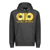 Charcoal Heather allied artists pictures Premium Hoodie - linhVisuals