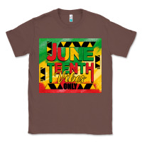 Chestnut juneteenth vibes only tumbler Classic Tee - BarkalooDesign