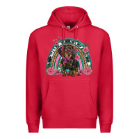 Cardinal dachshund dog pink  floral rainbow Premium Hoodie - BarkalooDesign