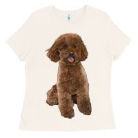 Bone Poodles Dog lllustrations Ladies Tee - LillyAllenDesigns
