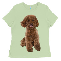 Matcha Poodles Dog lllustrations Ladies Tee - LillyAllenDesigns