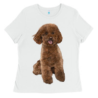 White Poodles Dog lllustrations Ladies Tee - LillyAllenDesigns