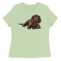 Matcha Sussex Spaniels llustrations Ladies Tee - LillyAllenDesigns