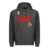 Charcoal Heather sicily Premium Hoodie - baoMotion