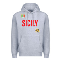 Heather Grey sicily Premium Hoodie - baoMotion
