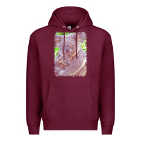 Burgundy koala t  shirtkoala   11 t  shirt Premium Hoodie - baoMotion