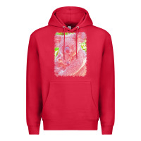 Cardinal koala t  shirtkoala   11 t  shirt Premium Hoodie - baoMotion