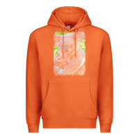 Carrot koala t  shirtkoala   11 t  shirt Premium Hoodie - baoMotion
