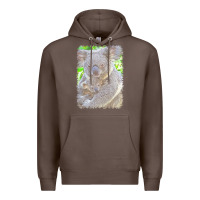 Coffee koala t  shirtkoala   11 t  shirt Premium Hoodie - baoMotion