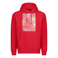 Red koala t  shirtkoala   11 t  shirt Premium Hoodie - baoMotion