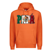 Carrot Mexican Flag Papá Premium Hoodie - Jasminsmagicworld