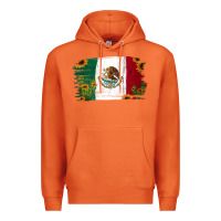 Carrot Mexican Flag Cactus Sunflower Premium Hoodie - Jasminsmagicworld