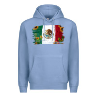 Colony Blue Mexican Flag Cactus Sunflower Premium Hoodie - Jasminsmagicworld