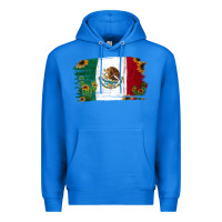 True Royal Mexican Flag Cactus Sunflower Premium Hoodie - Jasminsmagicworld