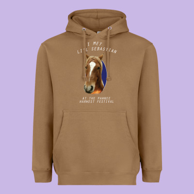 I Met Lil Sebastian Heavyweight Hoodie Designed By Bettercallsaul