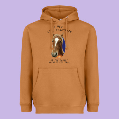 I Met Lil Sebastian Heavyweight Hoodie Designed By Bettercallsaul