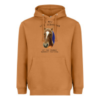 Meerkat I met lil Sebastian Heavyweight Hoodie - Bettercallsaul