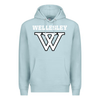 Blue Mist WELLESLEY Premium Hoodie - baoMotion