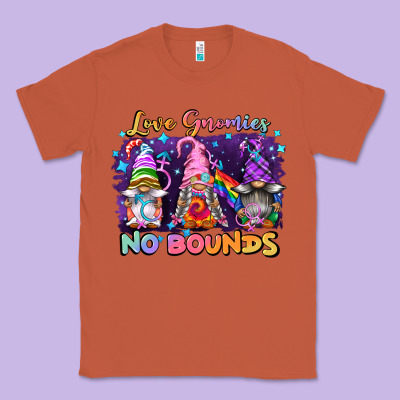 Love Gnomies No Brounds Pride Classic Tee Designed By Fadigitalartstudio