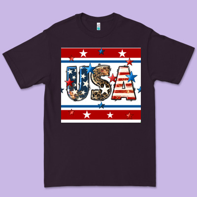 4th Of July Usa Seamless Pattern Premium Tee Designed By Bundleandbundleshop