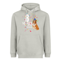 Moon Dust 8 years old Heavyweight Hoodie - Bettercallsaul
