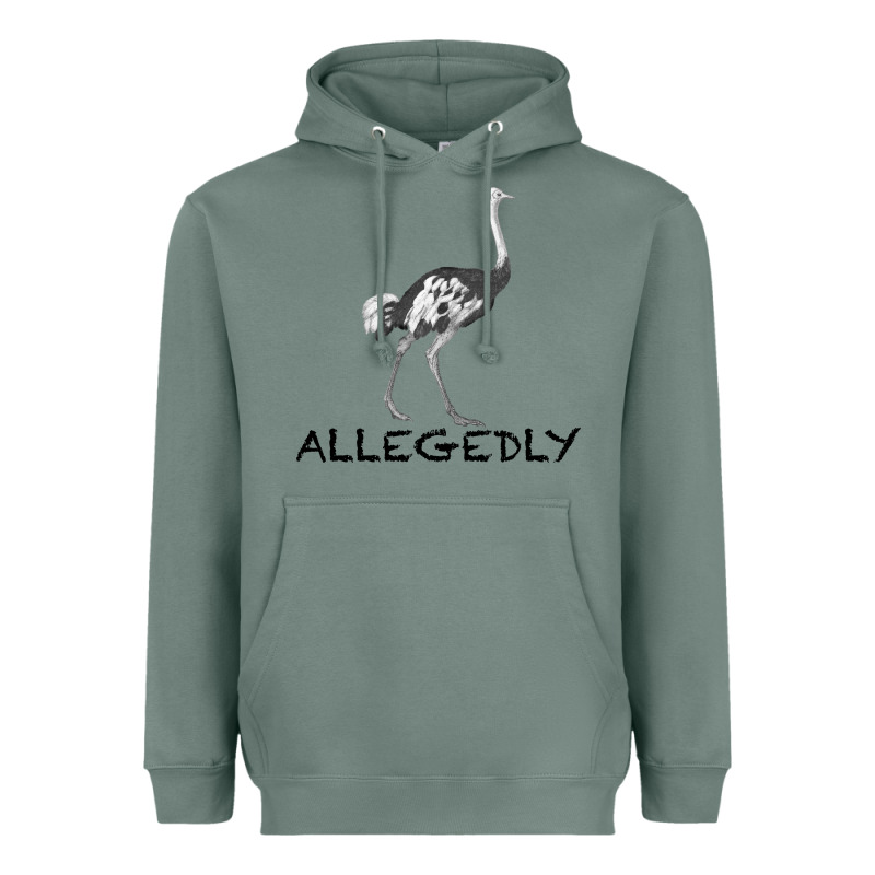 Allegedly Heavyweight Hoodie by Bettercallsaul | Teevron