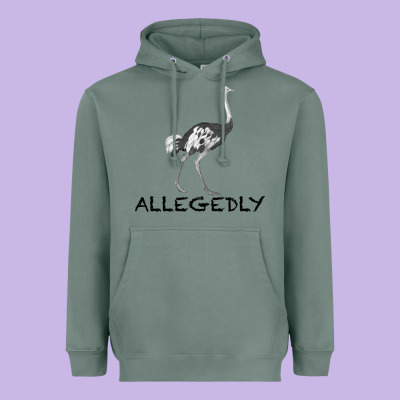 Allegedly Heavyweight Hoodie Designed By Bettercallsaul