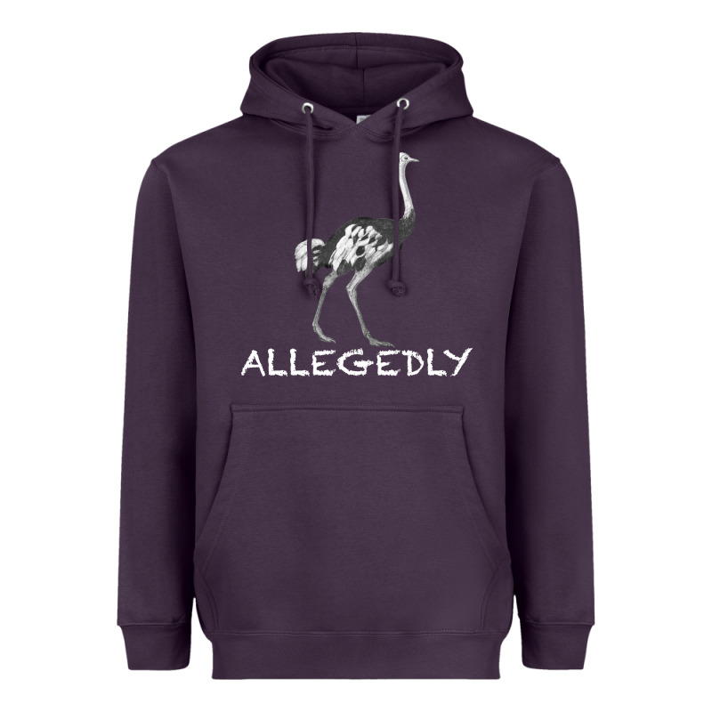 Allegedly Heavyweight Hoodie by Bettercallsaul | Teevron