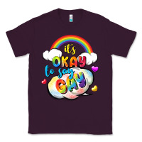 Plum its okay to say gay pride Classic Tee - FaDigitalArtStudio