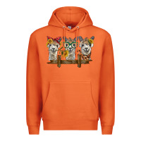Carrot 3 alpacas Premium Hoodie - BarkalooDesign