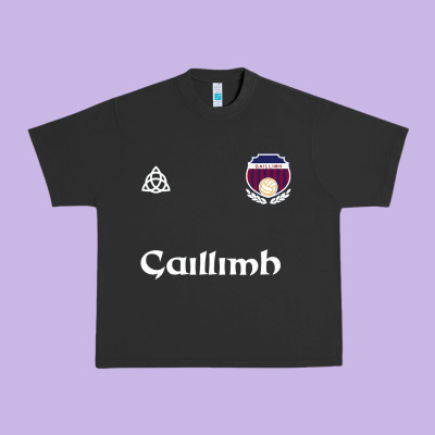 Galway Gaillimh Irish Gaelic Football And Hurling Premium Urban Heavy Tee Designed By Designpulse