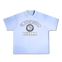 Grape Ice universita roma [tb] Urban Heavy Tee - Craftify