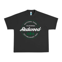 Womens Redwood National Park California Gifts Souvenir Ca V Neck T Shi Urban Heavy Tee | Teevron